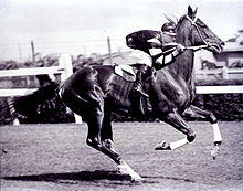 Phar Lap.jpg