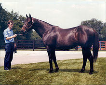 Seattle Slew.jpg