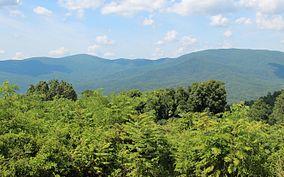 Cohutta Overlook, Murray County, Georgia.JPG