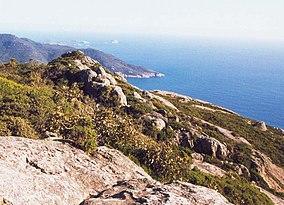 Wilsons prom 3.jpg