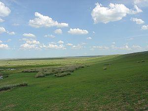Grasslands-menggu.JPG
