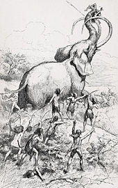 Drawing of humans hunting an elephant-like mammoth, which is lifting a human with its trunk