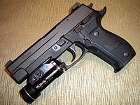 P226 Elite Dark.JPG