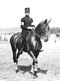 Dolf van der Voort van Zijp.jpg