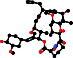 Tacrolimus-1YAT-ball-and-stick-model.png