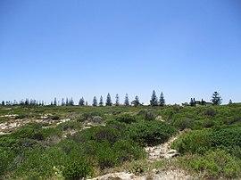 Golden Bay, view from the foreshore, November 2019 04.jpg