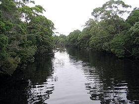 Henty-River Tasmania.jpg