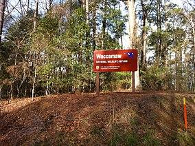 Waccamaw National Wildlife Refuge.jpg