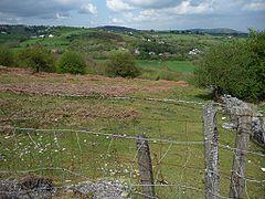 North-facing hillside - geograph.org.uk - 1862025.jpg