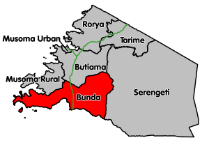 Bunda district in Mara region. Paved trunk roads in green.