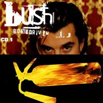 Bush bonedriven.png