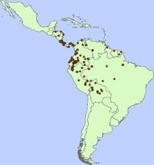 Peachpalmdistribution.pdf