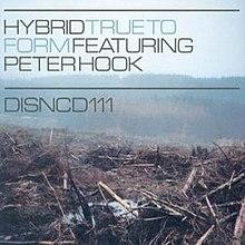 Hybrid - True to Form (2003 Single).jpg
