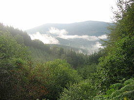 Morvan bourgogne2.jpg