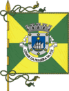 Flag of Figueira da Foz