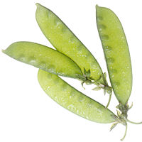 NCI snow peas.jpg