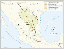 Distribución del Peyote.jpg