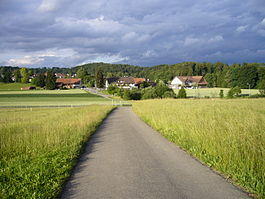 HaldenBirchwylI.jpg