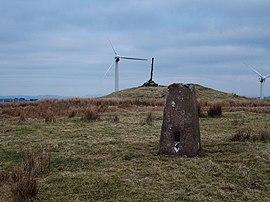 Pegwn Mawr - geograph.org.uk - 1241802.jpg