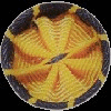 AAAS fellow rosette pin.jpg