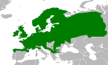 Mapa Rana temporaria.png