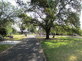 Paine Reserve Newport.jpg