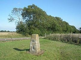 Trig point, on Dunstable Downs - geograph.org.uk - 1440937.jpg
