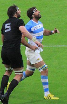 Juan Martin Fernandez Lobbe 2015 RWC.jpg