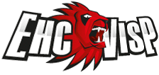 EHCVispLogo.png