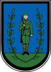Coat of arms of Veternik