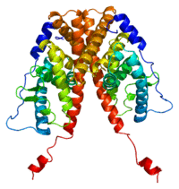 Protein ESR1 PDB 1a52.png