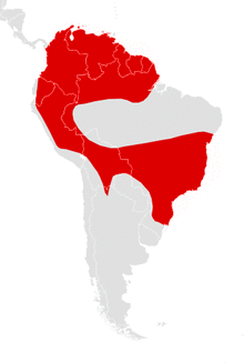 Anoura caudifer map.png