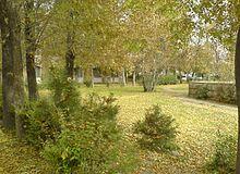 Tabriz University