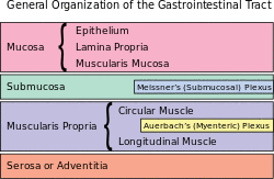 GI Organization.svg