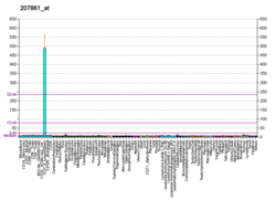PBB GE CCL22 207861 at fs.png