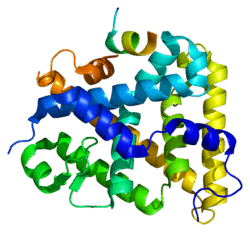 Protein NR5A1 PDB 1ymt.png