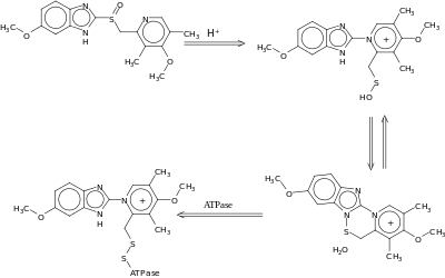 Omeprazol rearrangement in the body