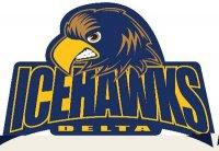 DeltaIceHawksLogo.jpg