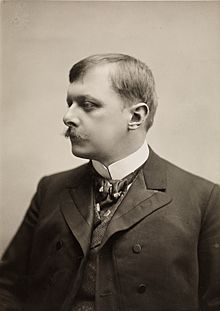 Portrett av Carl Størmer (cropped).jpg