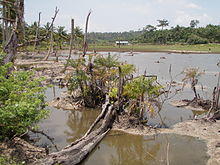 Wandoor Village Andaman 4160284.JPG