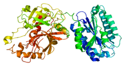 Protein C2 PDB 2i6q.png