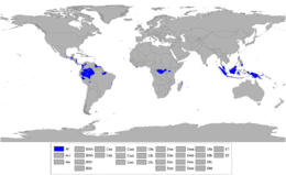 Tropical Rainforest Climate Region