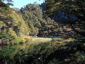 Parque Nacional Heurquehue 4.jpg