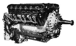 RRGoshawk.JPG