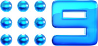 Nine2012 Glossed Logo.png