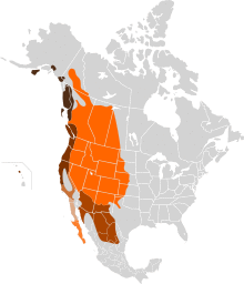 Odocoileus hemionus map.svg