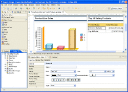 Eclipse BIRT Report Designer