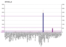 PBB GE CSF3 207442 at fs.png