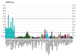 PBB GE SMAD2 203075 at fs.png