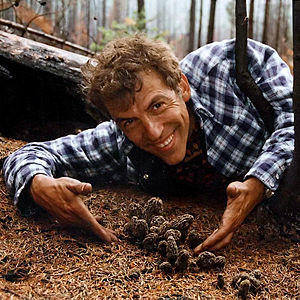 David Arora morels new.jpg